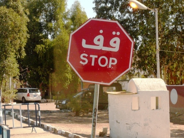 lw2010Ägyp.jpg